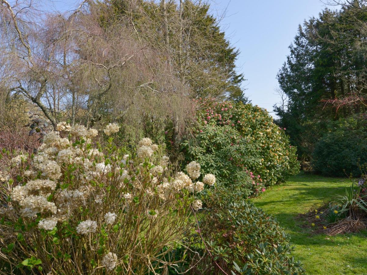 Lily Cottage Looe Bagian luar foto